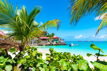 Palm Trees On Tropical Beach, St Barths, Caribbean Island.