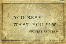 Reap What Sow CP