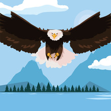 Beautiful Bald Eagle Flying In The Lake Scene