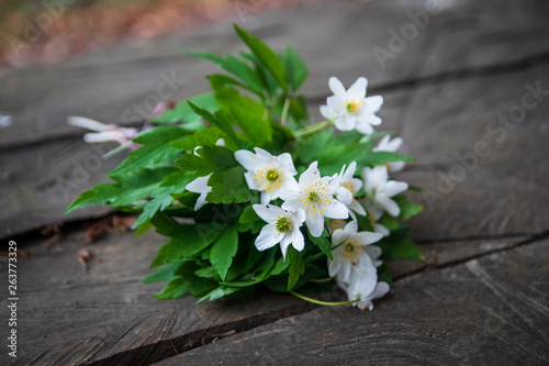 Fototapeta na drzwi i meble Bouquet of wild white flowers on rustic wooden table in a forest