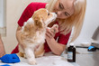 © Kate - Veterinary doctors exam little corgi dog in manipulation room of pet clinic. Pet health care