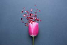 Tulip And Red Sequins On Grey Background. Menstruation Concept