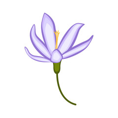 Isolated beautiful flower image. Vector illustration design