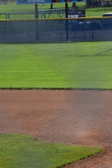 Wall Mural - Baseball Field