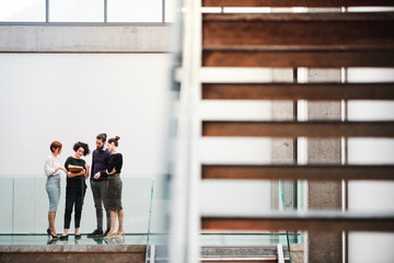 Wall Mural - Group of young businesspeople standing near staircase, talking.