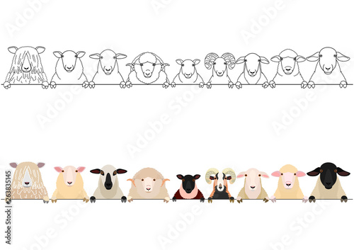 Fotografía various sheep heads border set