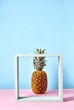 © Yaroslav Danylchenko/Stocksy - Tropical pineapple fruit single standing behind a white square frame on duotone pink-blue background