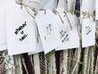 © Holly Clark/Stocksy - Row of positive notes hanging on line.