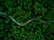 © Javier Pardina/Stocksy - aerial view of the forest