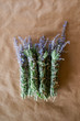 © Tara Romasanta Photography/Stocksy - grouping of fresh sage smudge sticks