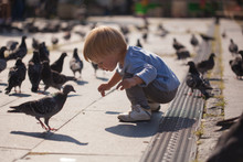Little Boy Having Fun With Pigeons On A City Street