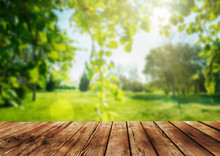 A Wooden Table And Spring Forest Background