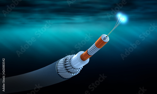 Fotografía Cross section of a submarine communications cable - 3d illustration