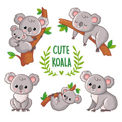 Wall Mural - Vector illustration with koala in various poses.