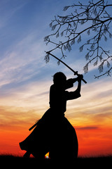 Poster - Samurai with sword at sunset