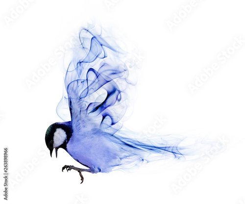 Flying Abstract Blue Bird From Smoke On White Buy This Stock