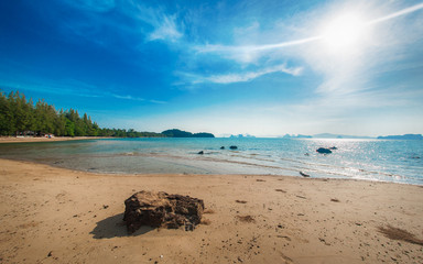 Wall Mural - Idyllic tropical beach, palm, golden sand and crystal clear water