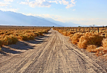 Wall Mural - Dirt road goes to the horizon on a desert highway