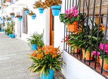 A Narrow Alley In Mijas White Village Decorated With Many Flowerpots. Andalusia, Costa Del Sol, Spain