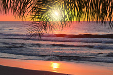 Orange Ocean Sunset. Calm Surf. Beautiful View Through The Palm Leaves