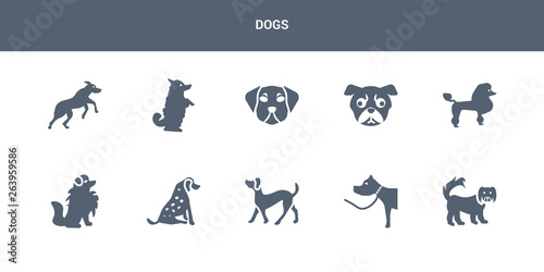 https stock adobe com images 10 dogs vector icons such as pekingese dog pitbull dog plott hound dog pointer pomeranian contains poodle pug puggle pumi rhodesian ridgeback dogs icons 263959586 start checkout 1 content id 263959586