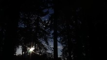 Time Lapse Of Sun Rising Through The Trees, Partly Cloudy, Sun Looks Like A Starburst