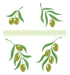 Wall Mural - Illustration of olive branches and greek meandros ornament brush for design