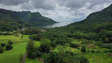 Wall Mural - Drone aerial travel view of of Opunohu Bay on Moorea, French Polynesia, Tahiti lush green landscape and Pacific Ocean. Tropical vacation paradise.