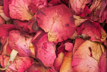 Background Of Dried Rose Petals