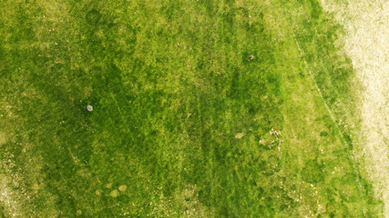 Aerial. Green grass texture background.