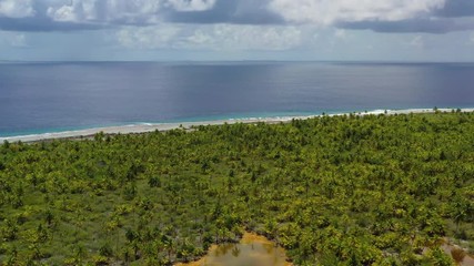 Wall Mural - Drone videoof Fakarava atoll island motu and UNESCO Biosphere Reserve French Polynesia Tahiti, coral reef and Pacific Ocean. Tropical travel paradise in Tuamotus Islands.