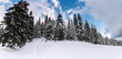 Winter in the mountains panorama