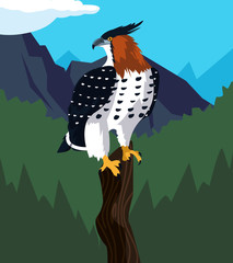 Sticker - beautiful hawk in tree branch landscape scene