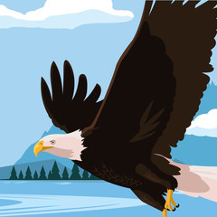 Sticker - beautiful bald eagle flying in the lake scene