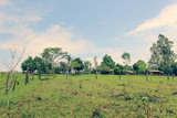 Fototapeta Konie - paisagens ao entardecer na fazenda