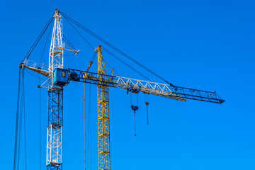 Cranes on a background of blue sky