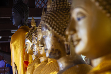 Many Buddha statue in lined enshrined within the temple for the worshipping of Buddhists.