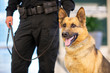 © Studio615 - Police K9 Patrol