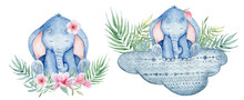 Watercolor Cute Elephants Set Animal Illustration