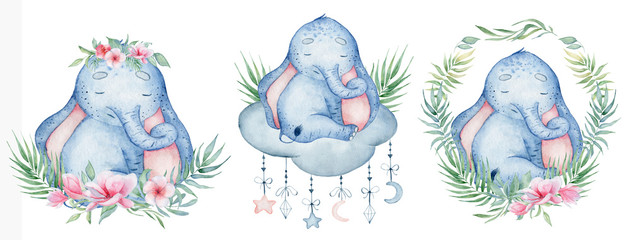 Watercolor cute elephants set animal illustration