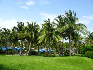 Canvas Print - Hainan, Sanya, China