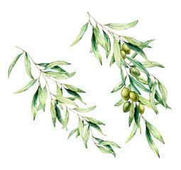 watercolor olive tree branch set with green olives and leaves. hand painted floral illustration isol