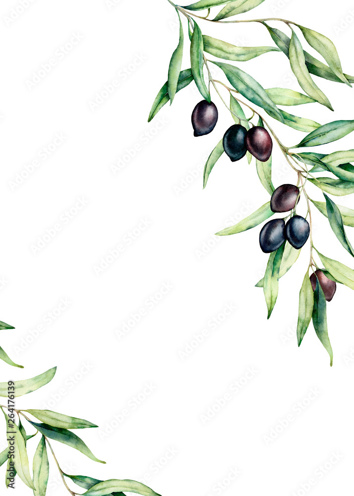 Watercolor card with olive tree branch, black olives and leaves. Hand ...