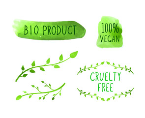 Wall Mural - Vector Set of Hand Drawn Design Elements, Frames and Green Paint Spots with Words, Cruelty Free, Vegan, Bio Product.