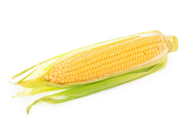 Wall Mural - fresh raw corn cob isolated on white background