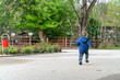 © nikolay100 - Small child running in a park