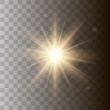 © YULIIA - Golden shining vector sun