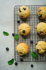 Poster - Homemade Lemon Blueberry Muffins with sugar topping, selective focus