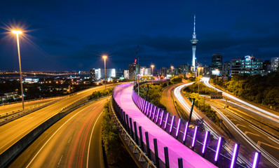 Wall Mural - Night view of Auckland, New Zealand