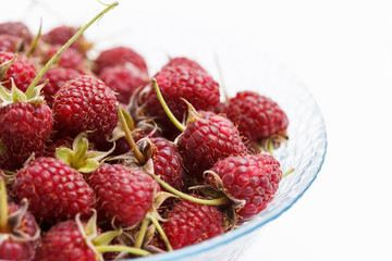 Sticker - fresh raspberries in the bowl